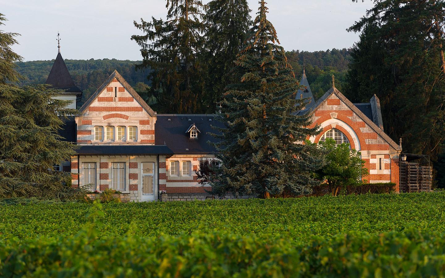Domaine Henri de Villamont - Grands Vins de Bourgogne - Savigny